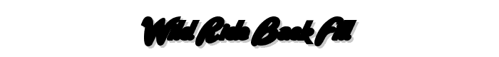 Wild Ride Back Fill font